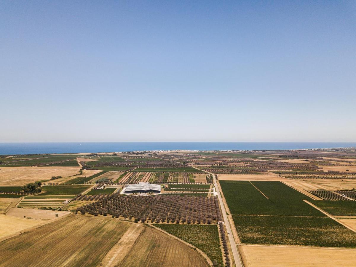 Masseria Torleanzi Wine Relais San Pietro Vernotico Eksteriør bilde